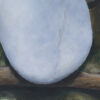 Stepping Over - Image 5